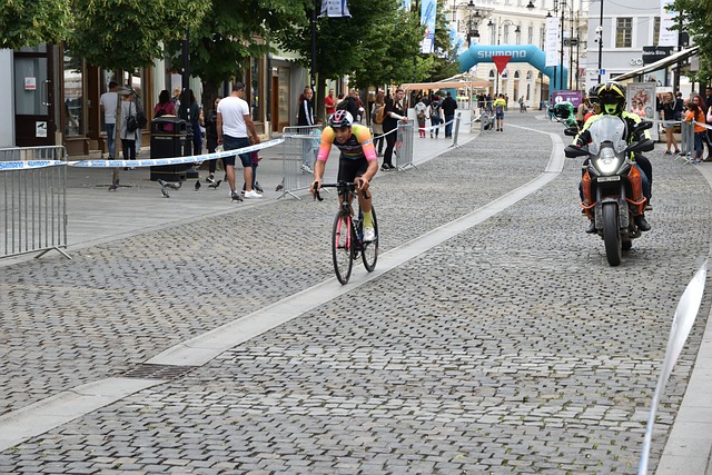 这种变动所 这种变动所