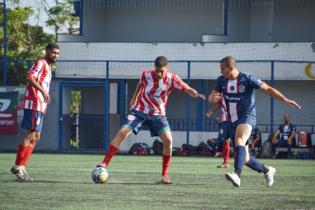 帕拉迪诺 帕拉迪诺