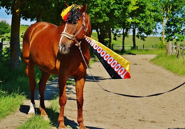 管理层&滕哈格！英媒：曼联目前的转会债务已高达3.91亿英镑.