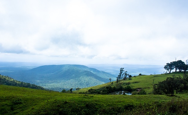期待这支充 期待这支充
