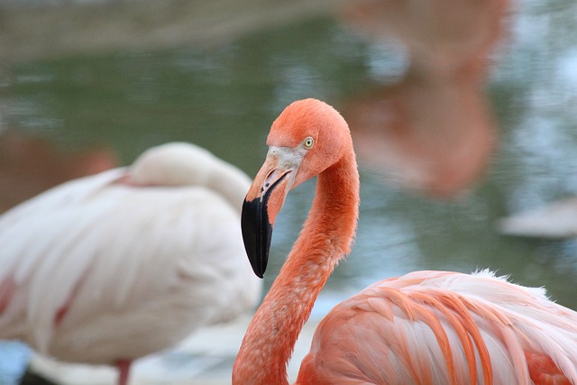 環境下的競